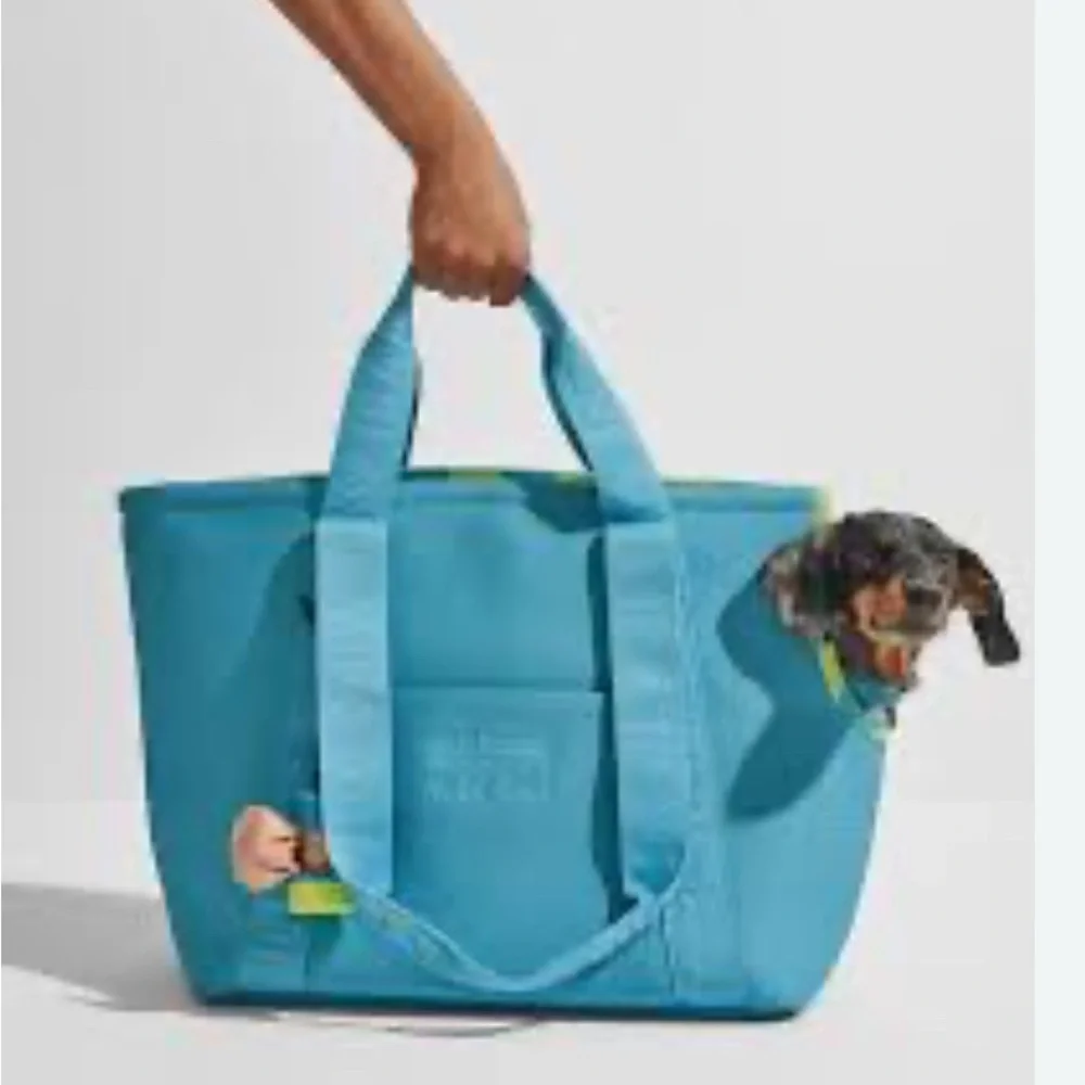 Isaac Mizrahi this isaac